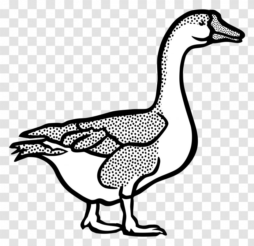Canada Goose Duck Clip Art - Color Transparent PNG