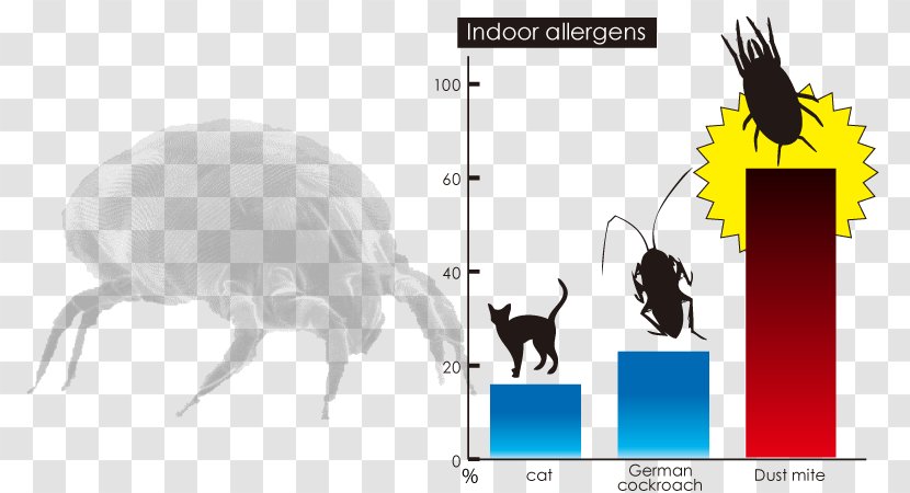 Cat House Dust Mite Allergy - Mites Transparent PNG