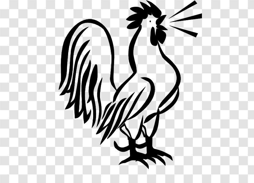 Plymouth Rock Chicken Rooster Galliformes Clip Art - Livestock - French Transparent PNG