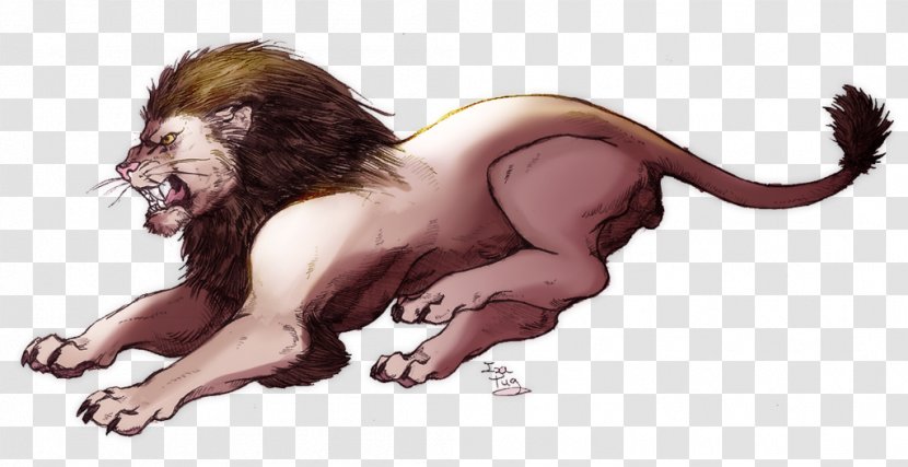 Lion Image Drawing Illustration Transparent PNG