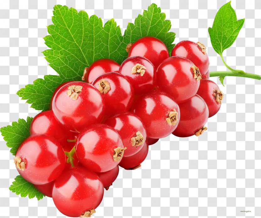 Tutti Frutti Fruit Redcurrant Berry Health - Cherry - Berries Transparent PNG