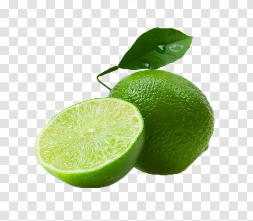 Persian Lime Key Fruit Citrus - Lemonlime Food Transparent PNG