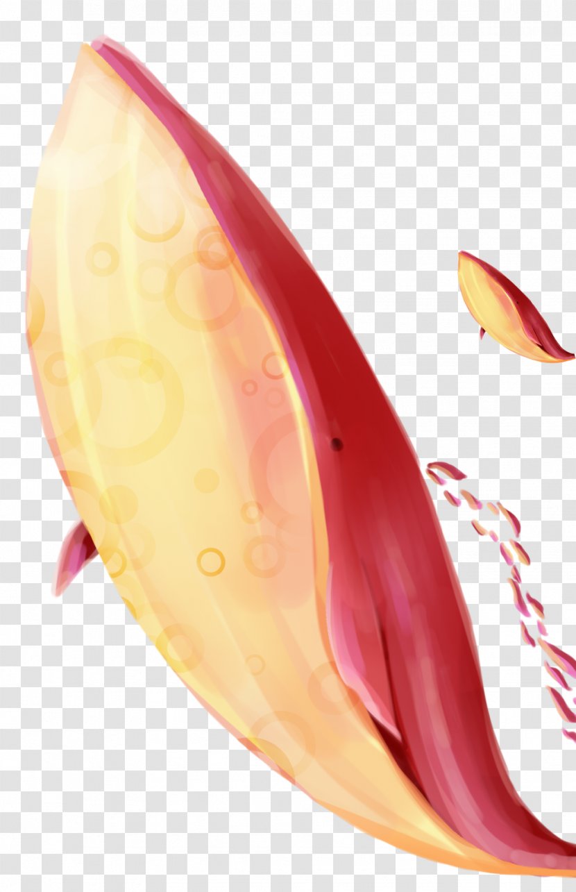 Shark Whale Red Download - Fish Transparent PNG
