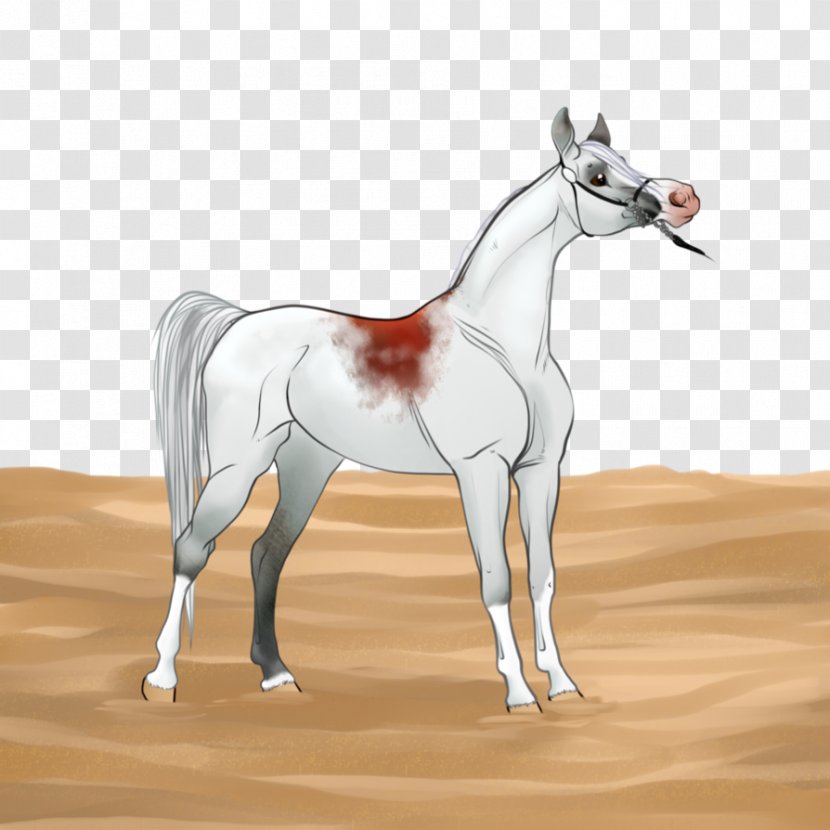 Mule Stallion Mare Colt Foal - Horse Supplies Transparent PNG