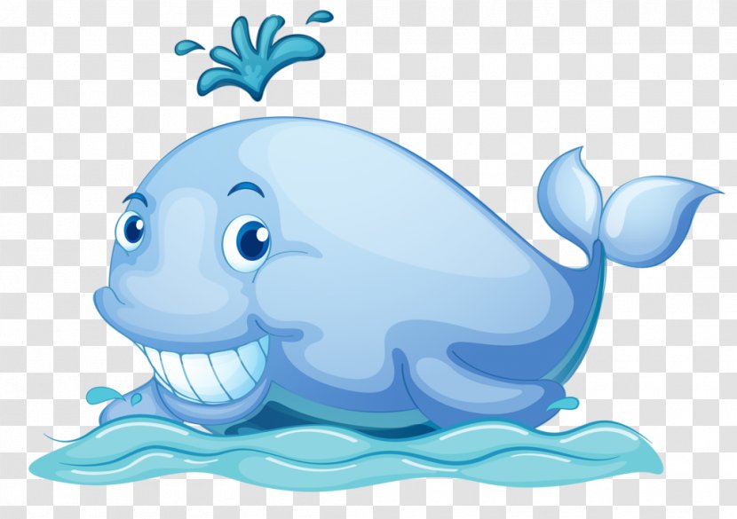 Clip Art Cetacea Photography Drawing Illustration - Blue Whale - Killer Transparent PNG