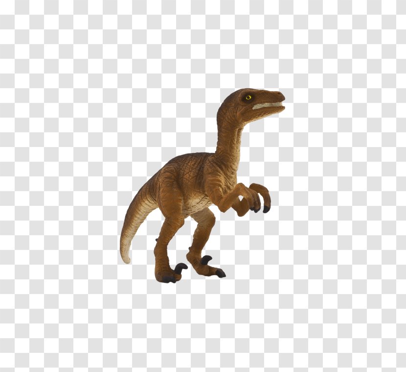 Velociraptor Tyrannosaurus Dinosaur Size Allosaurus - Reptile Transparent PNG