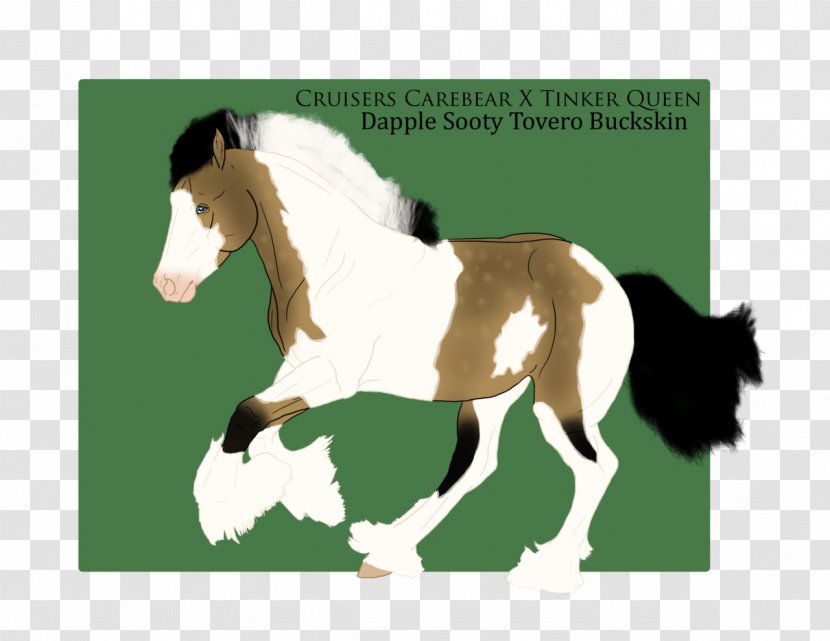 Pony Mustang Foal Stallion Mare Transparent PNG