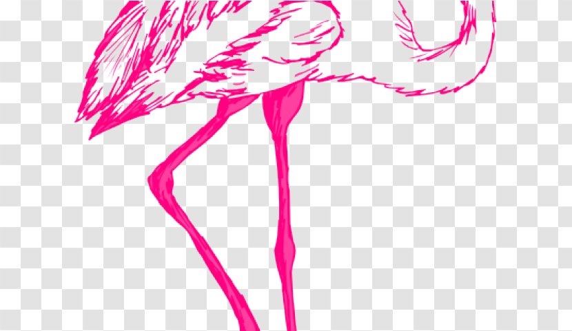 Bird Line Drawing - Pink - Magenta Transparent PNG