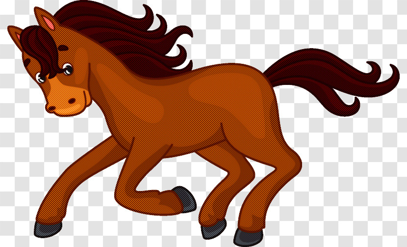 Pony Foal Mustang Stallion Cat Transparent PNG