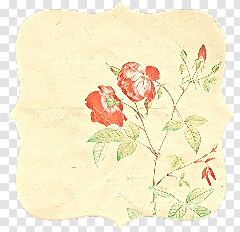 Rose - Plant - Wildflower Petal Transparent PNG