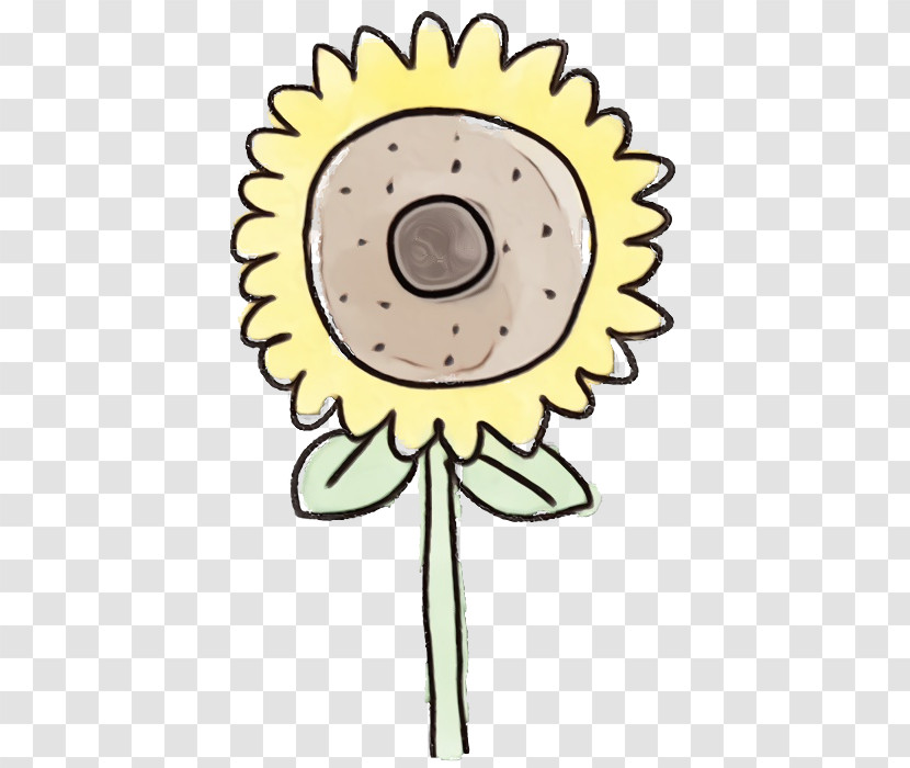 Sunflower Transparent PNG