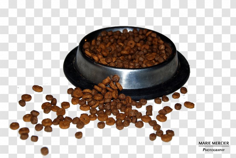Dog Cat Croquette Raw Feeding Food - Eating - Medecine Transparent PNG