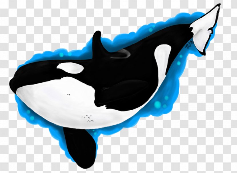 Killer Whale Dolphin Clip Art Transparent PNG