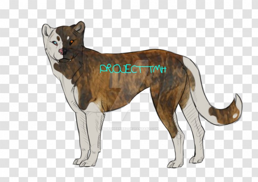 Dog Breed Saarloos Wolfdog Cat Mammal - Like Transparent PNG