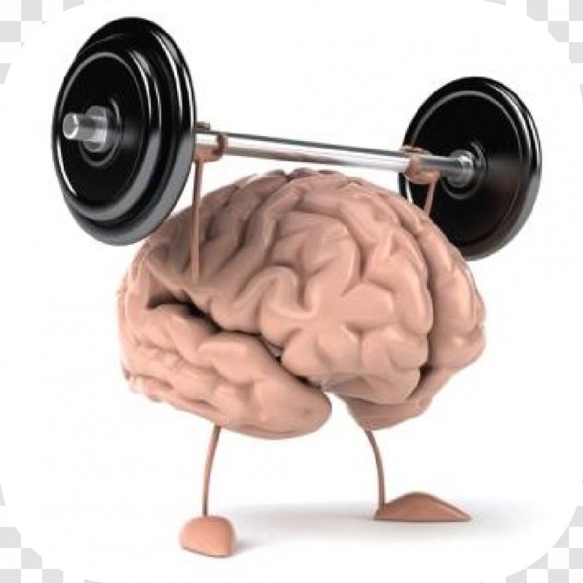 Physical Exercise Fitness Mental Health Cognitive Training - Silhouette - Brain Transparent PNG