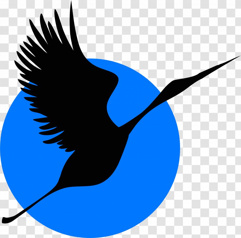 Bird Beak Cobalt Blue - Wing - Stork Transparent PNG