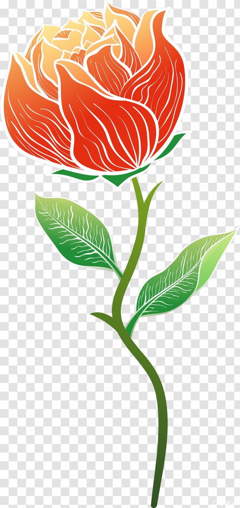 Cut Flowers Garden Roses Clip Art - Petal - White Rose Transparent PNG