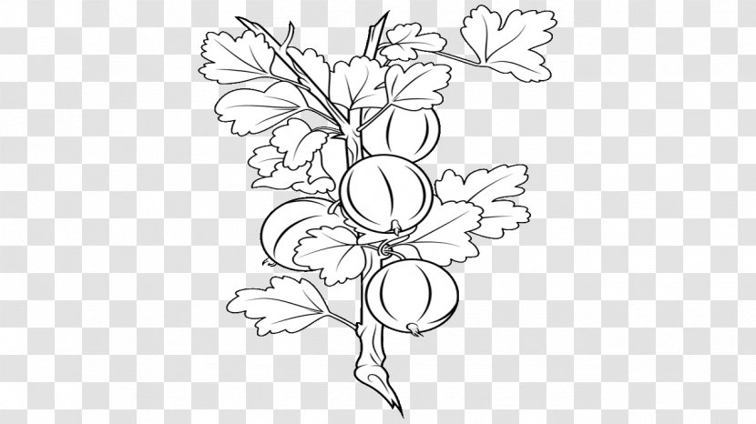 Black And White Visual Arts Drawing Floral Design - Branch - Amla Transparent PNG