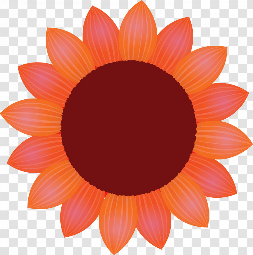 Sunflower Petal Flower Transparent PNG