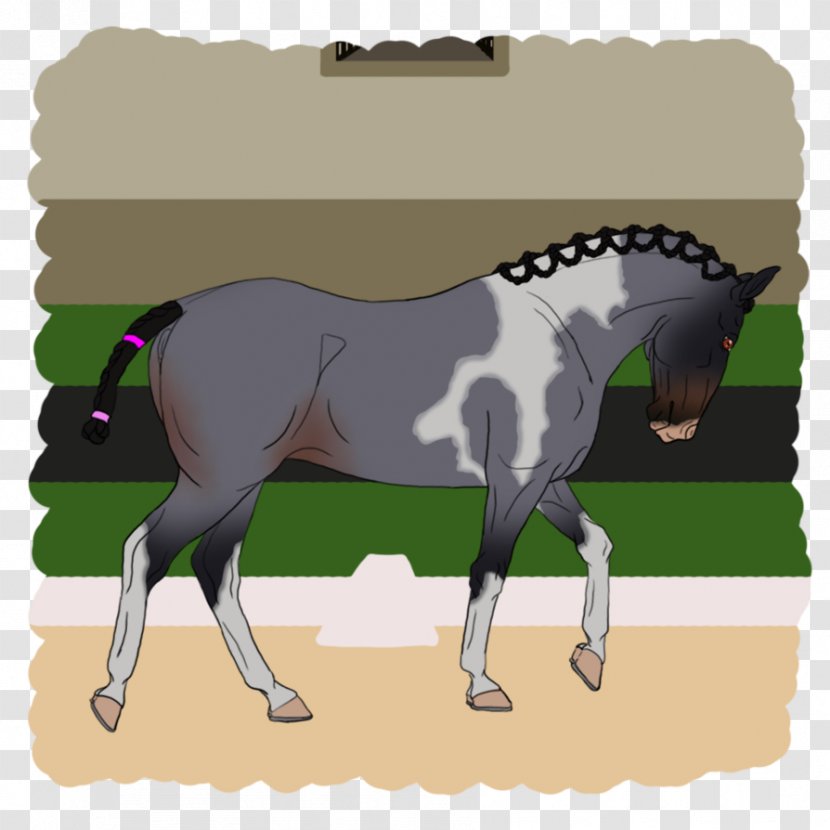 Mane Mustang Foal Stallion Pony - Halter Transparent PNG