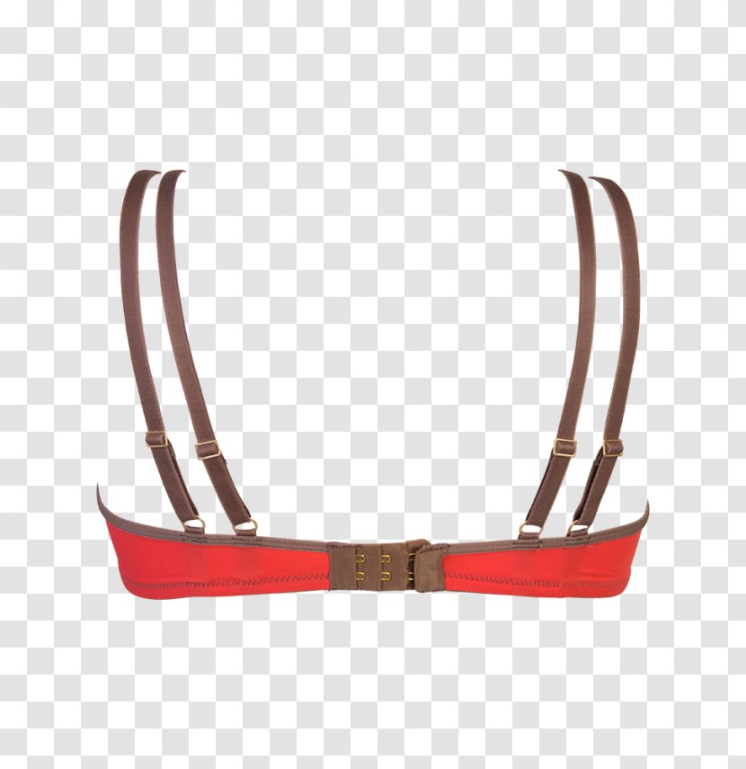 Belt Strap Product Design Transparent PNG