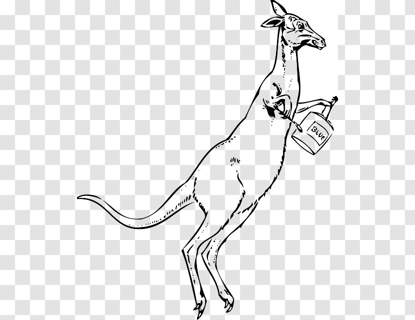 Macropods Kangaroo Clip Art Cartoon Drawing - Line - Dish Transparent PNG