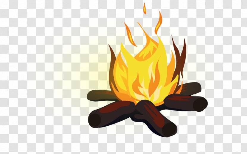 Bonfire - Computer Graphics - Field Survival Fire Transparent PNG