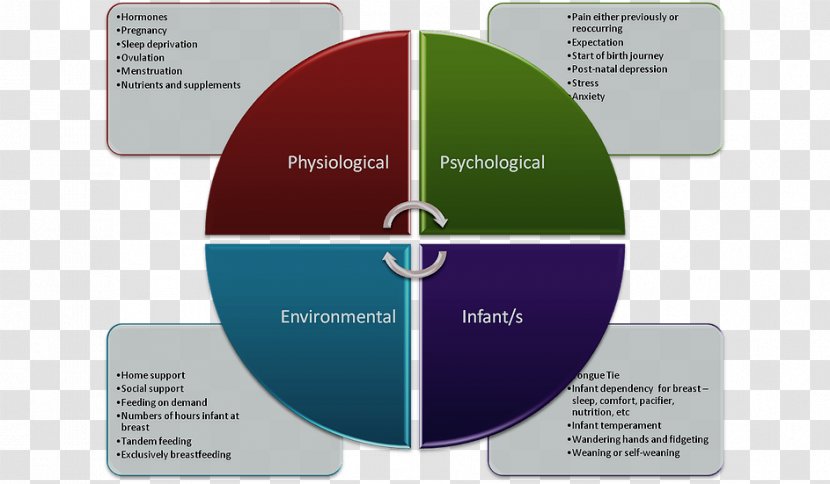 Pedagogy Business Model Learning Organization Transparent PNG