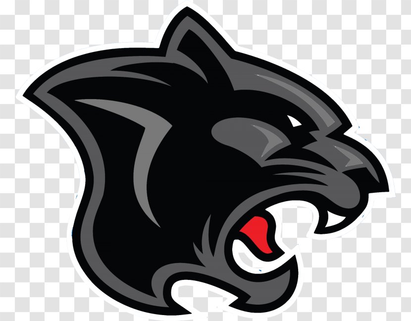 Carolina Panthers Panmure RFC Leopard Chapel District Elementary School - Carnivoran Transparent PNG