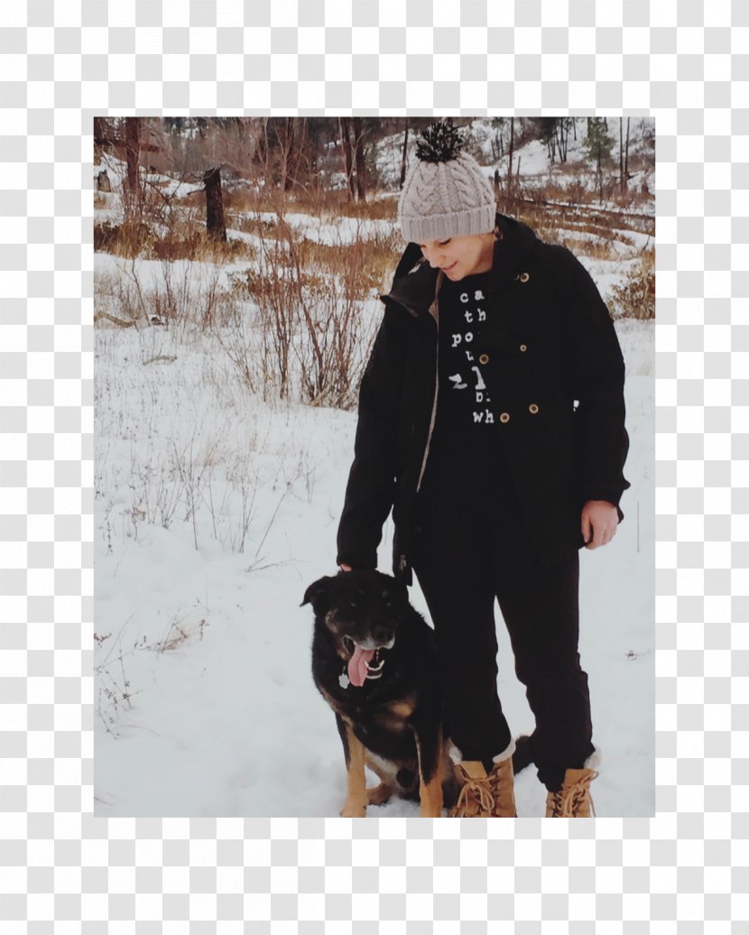 Dog Outerwear Snow Dagens Nyheter - Winter - SelfConsciousness Transparent PNG