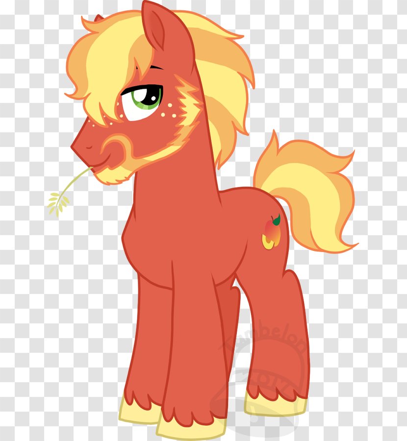 Horse Cat Canidae Dog - Vertebrate - Peach Fuzz Transparent PNG