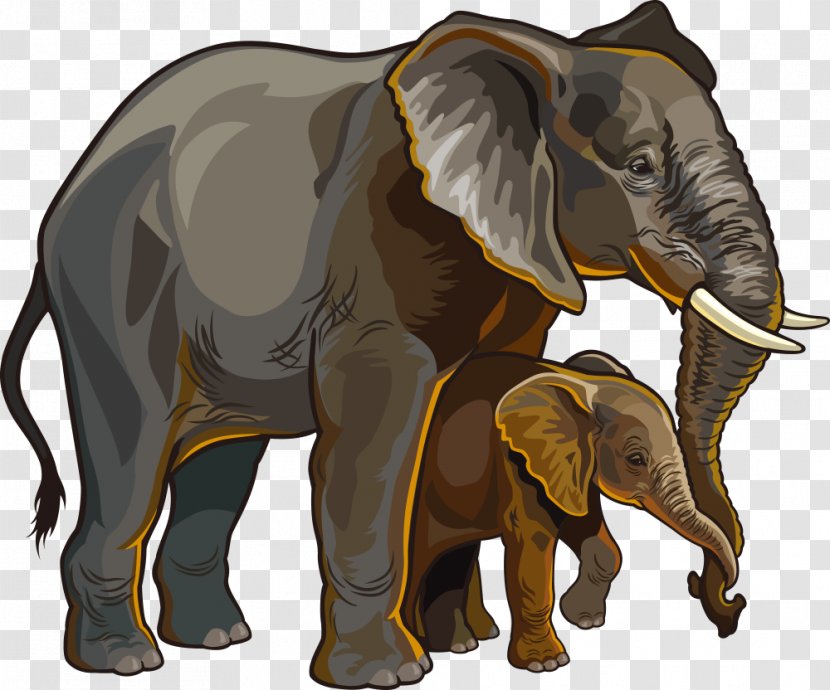 African Elephant Royalty-free Illustration - Stock Photography - Vector And Baby Transparent PNG