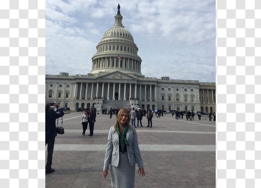 Business United States Capitol Health Care Integrace Fairhaven Social Work - Dome - Ellen Liuzza Md Transparent PNG