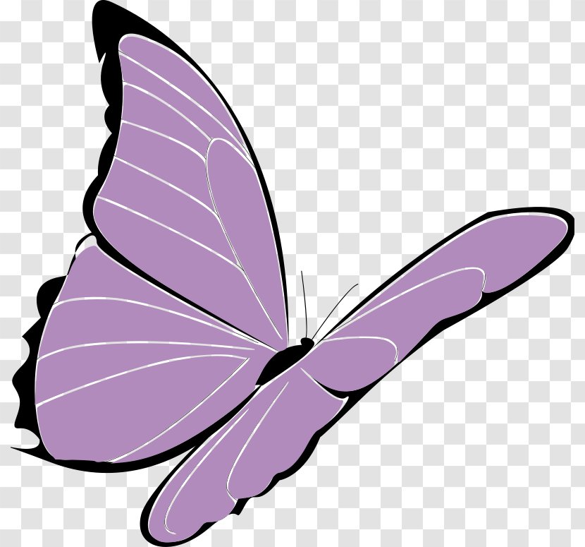 Butterfly Purple Violet Clip Art - Insect - Papillon Cliparts Transparent PNG
