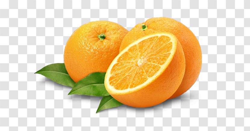 Mandarin Orange Tangerine Bitter Lemon - Citrus Transparent PNG
