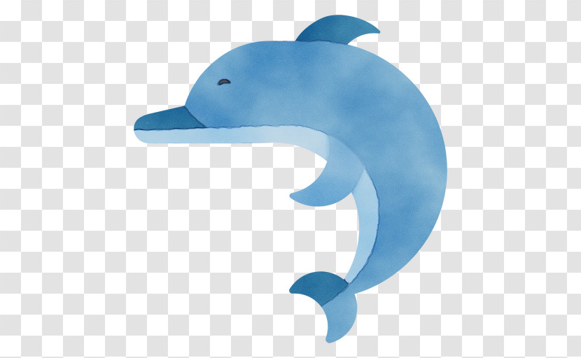 Dolphin Cetaceans Porpoises Whales Bottlenose Dolphin Transparent PNG