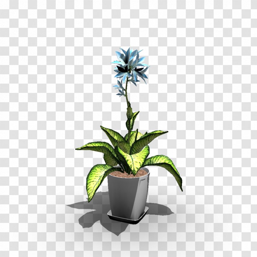 Flowerpot Houseplant Vase Agave - Indoors Transparent PNG