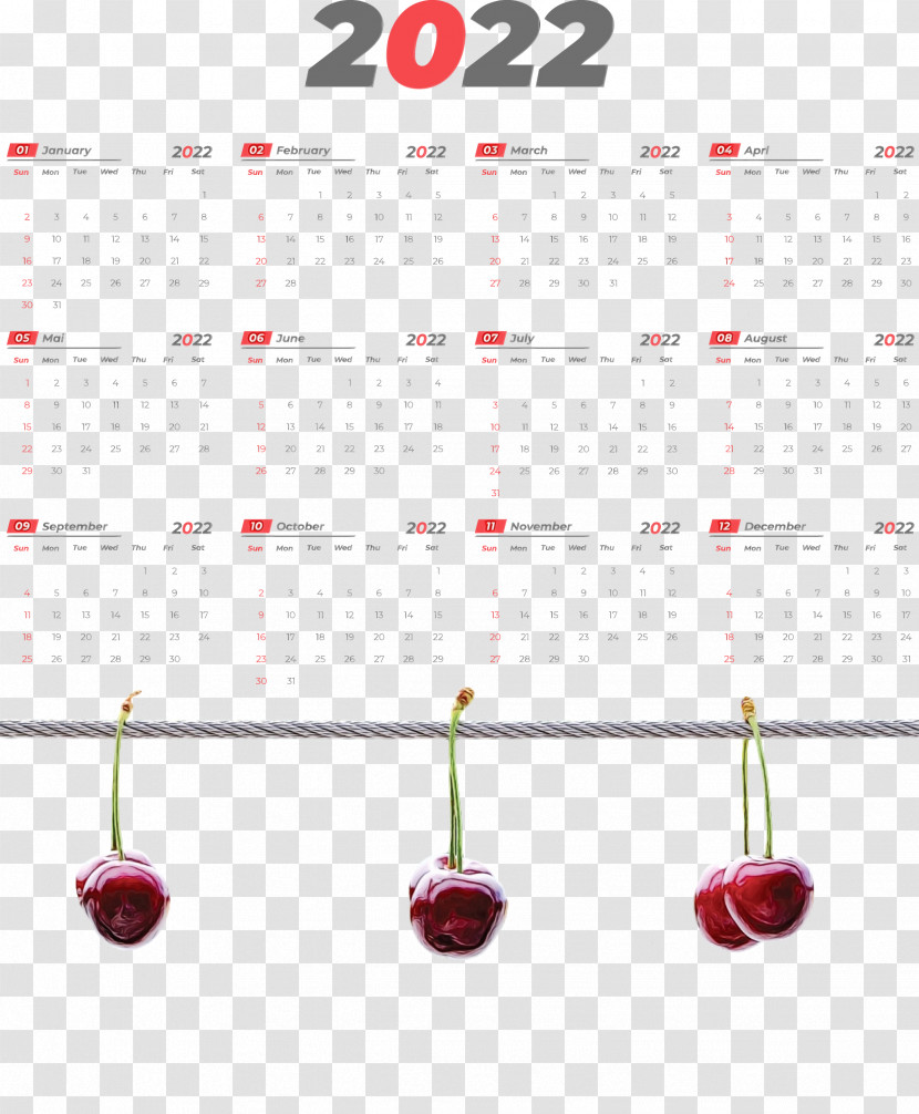 Line Calendar System Meter Fruit Mathematics Transparent PNG