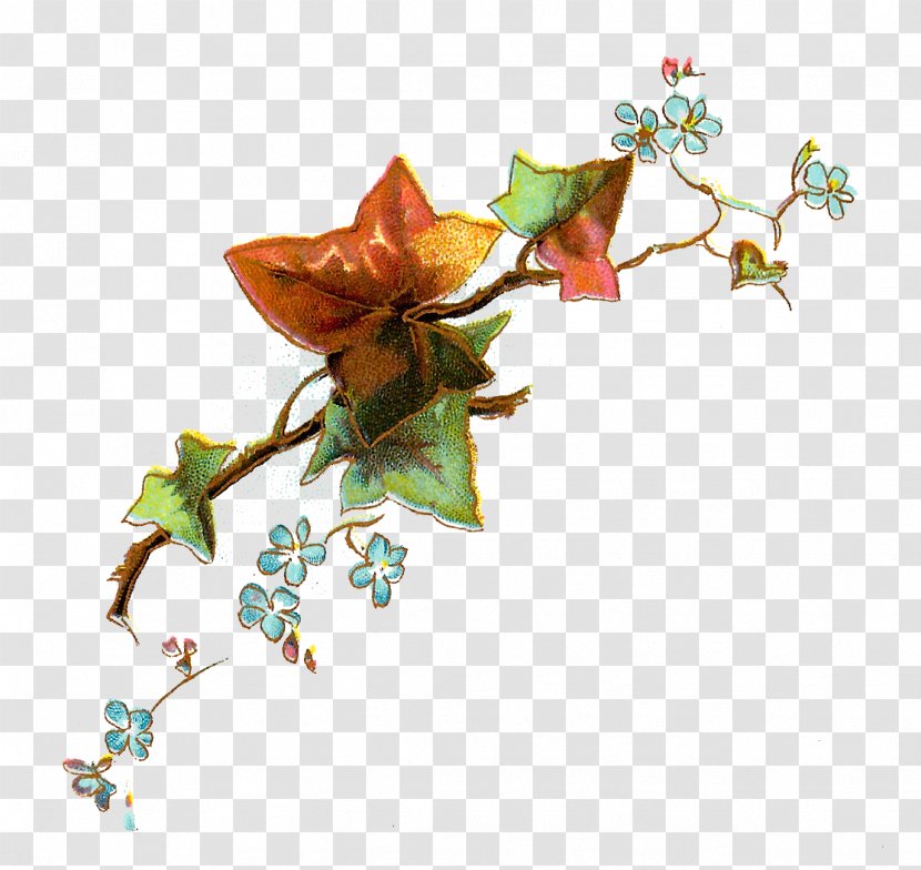 Flower Clip Art - Twig - Graphic Flowers Transparent PNG