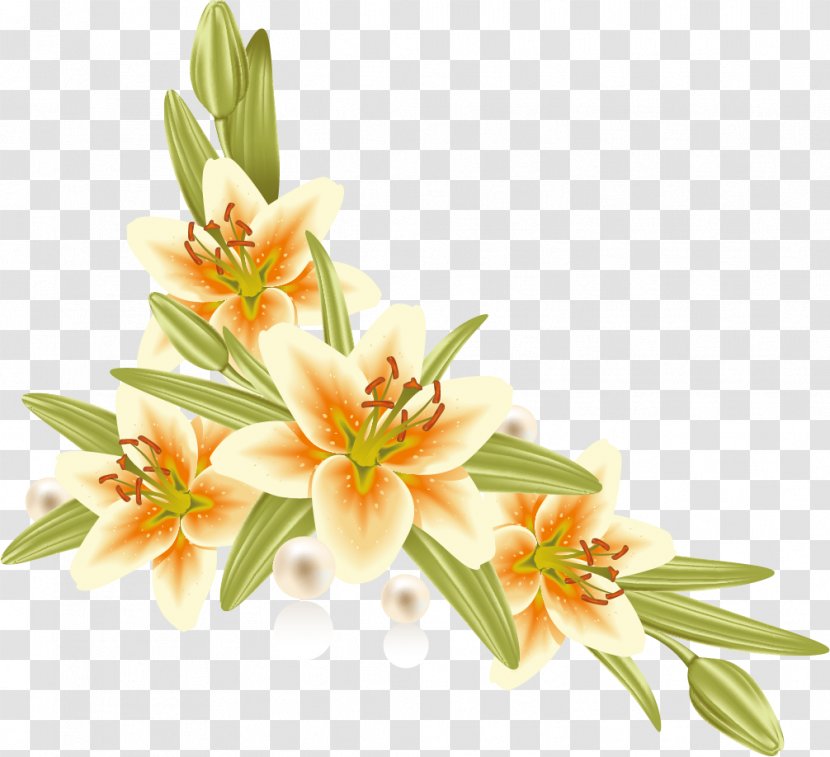 Flower Paper Lilium Photography Picture Frames - Lily Transparent PNG