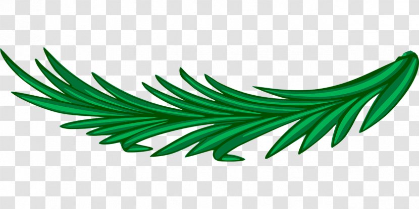 Clip Art Vector Graphics Bay Laurel Wreath - Olive Branch - Tree Transparent PNG