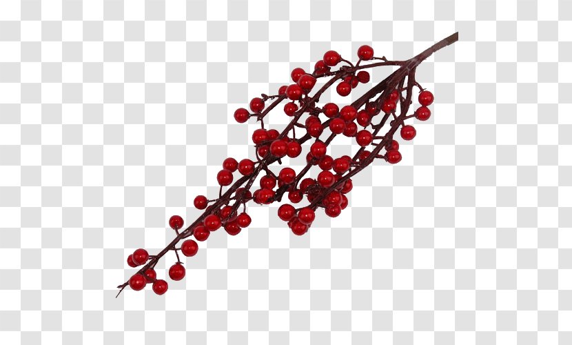 Pink Peppercorn Jewellery Brazilian Peppertree Black Pepper Fruit - January 16 - Christmas Flower Transparent PNG