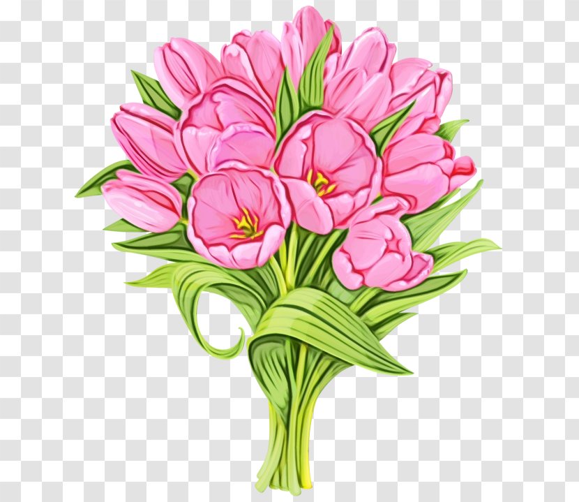 Flower Flowering Plant Cut Flowers Pink - Watercolor - Tulip Bouquet Transparent PNG