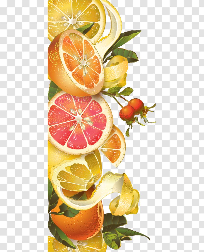 Juice Tea Lemon Grapefruit Berry - Food - Vector Background Retro Orange Honey Transparent PNG