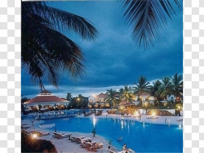 Resort Loews Portofino Bay Hotel At Universal Orlando The Golden Palms & Spa Swimming Pool Transparent PNG