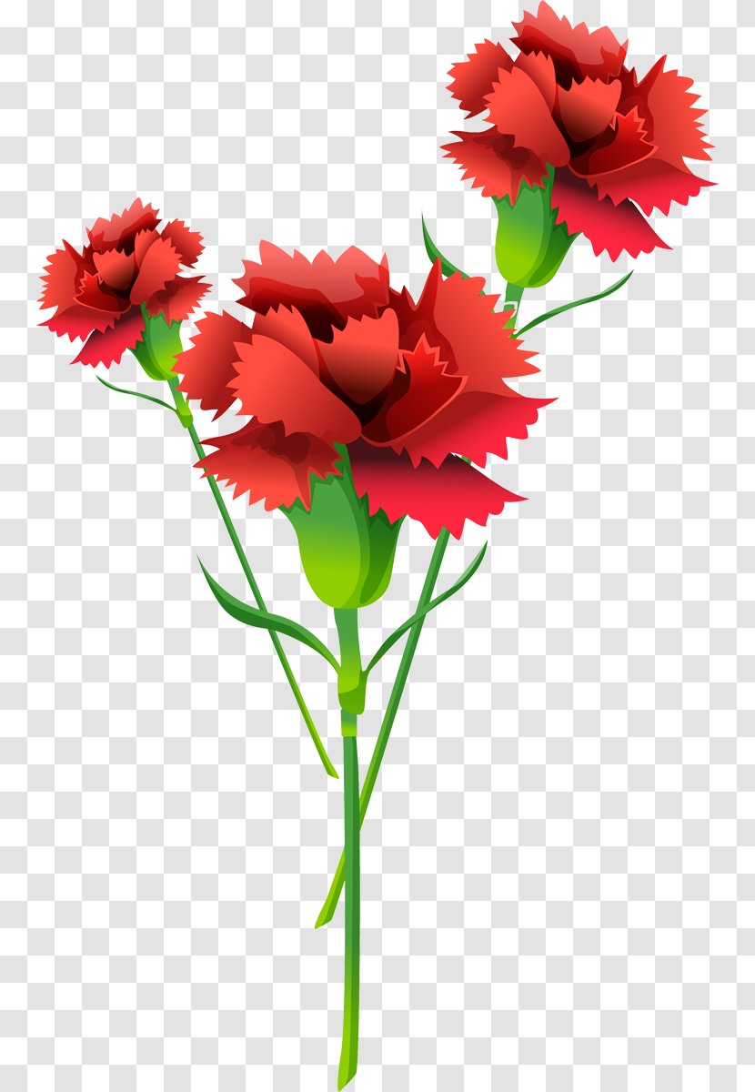 Defender Of The Fatherland Day Holiday Gfycat 23 February - Plant Stem - Cut Flowers Transparent PNG