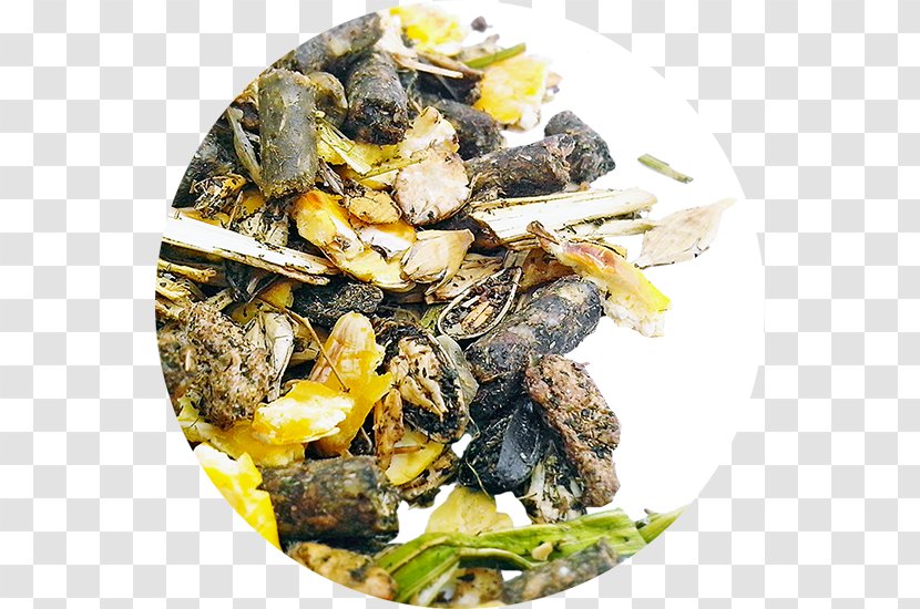 Mussel Recipe Dish Network - Seafood - Multico Transparent PNG