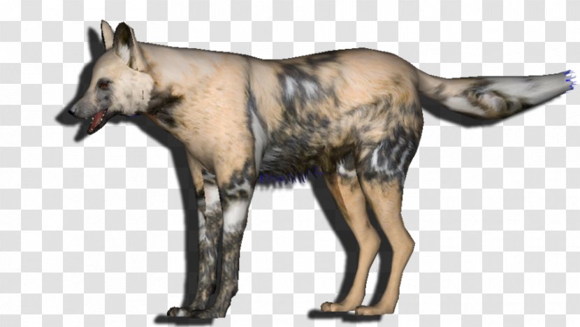 Dog Fauna Snout Wildlife Gray Wolf Transparent PNG