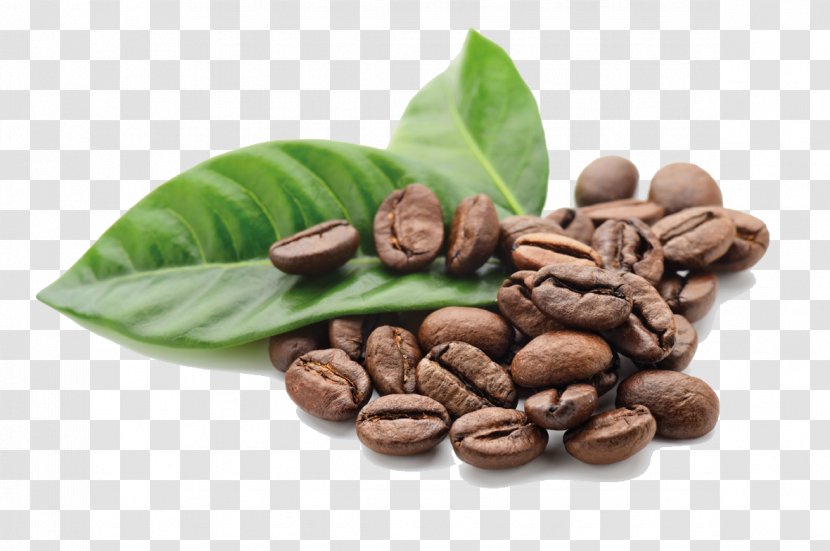Chocolate-covered Coffee Bean Cafe Espresso Kona Transparent PNG