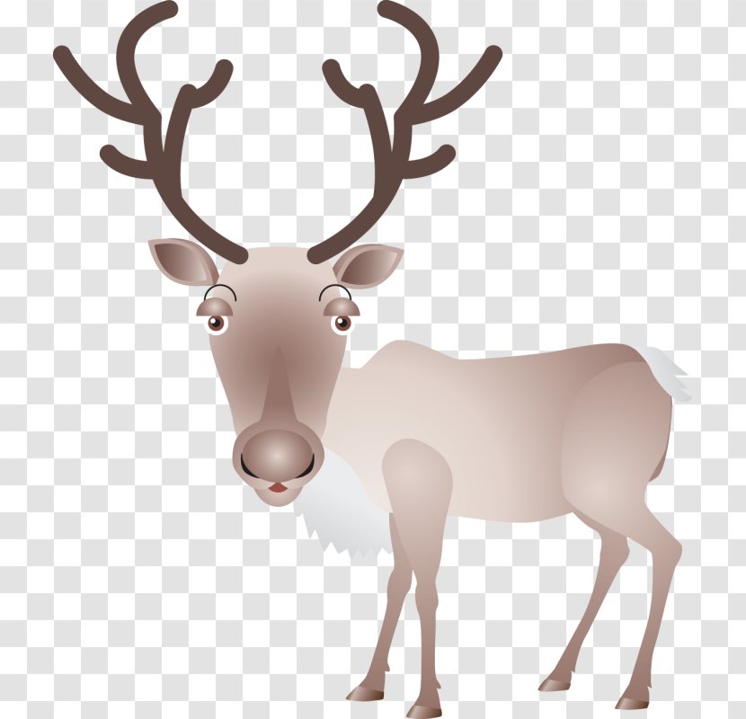 Reindeer Elk Moose Antler Transparent PNG